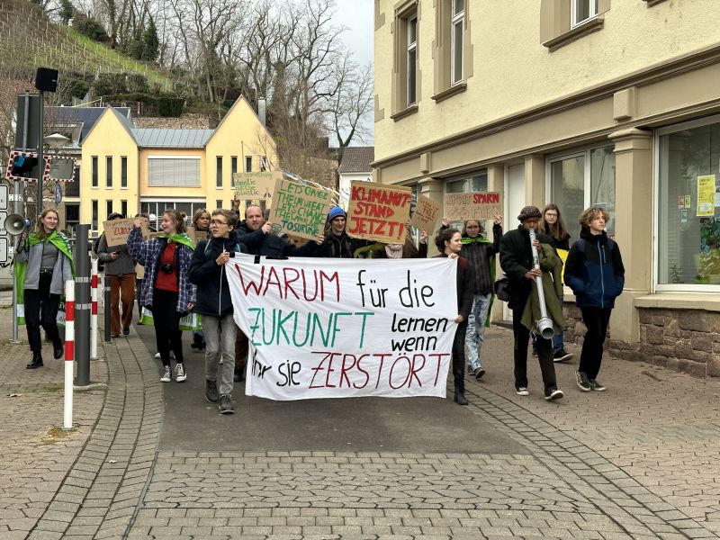 Foto von der letzten Demonstration für mehr Klimaschutz am 3. Februar in Bad Kreuznach