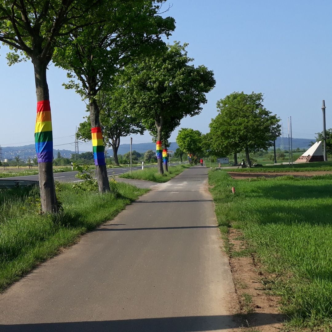 Einige Bäume neben dem Radweg, deren Stämmer mit Regenbogenfahnen umwickelt sind. Rechts ist das Mahnmal „Feld des Jammers“ zu erkennen.
